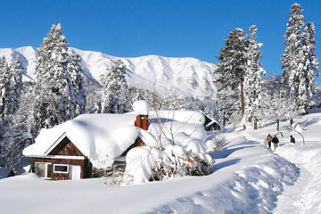 Amritsar Patnitop Pahalgam Srinagar Gulmarg Sonmarg Tour Package