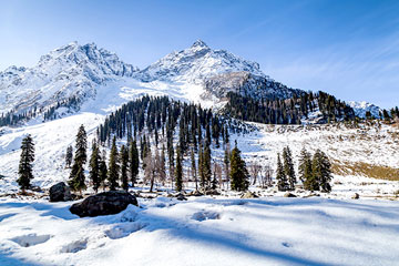 Amritsar Patnitop Pahalgam Srinagar Gulmarg Sonmarg Tour Package